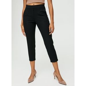 Babaton Conan pants from Aritzia